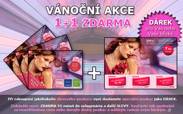 Vánoční AKCE 1+1 ZDARMA - Lenka Žampová +420 607 532553